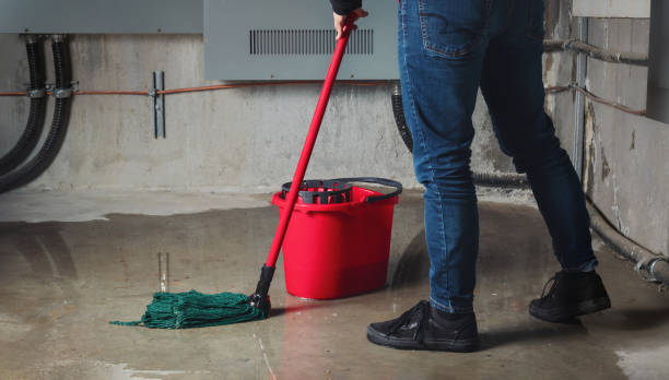 Best Basement water damage restoration  in Prospect, OH
